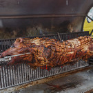 besucher essen buehne - Nova Rock 2016 - florian wieser - 023.jpg