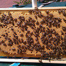 IMAG0569 n n.jpg