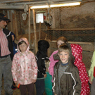 Schule am Bauernhof VS Innerbraz _24__jpg-1277069267