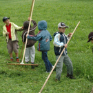 Schule am Bauernhof VS Innerbraz _49__jpg-1277069346