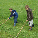 Schule am Bauernhof VS Innerbraz _51__jpg-1277069353
