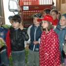 Schule am Bauernhof VS Innerbraz _74__jpg-1277069431