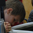 Schule am Bauernhof VS Innerbraz _98__jpg-1277069489
