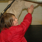 Schule am Bauernhof VS Innerbraz _105__jpg-1277069508