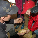Schule am Bauernhof VS Innerbraz _106__jpg-1277069510