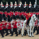 AFP_BQ8VN.jpg