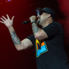 Cypress Hill, Nova Rock 2016, Samstag