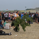 Weitere Bands, Nova Rock 2016, Samstag