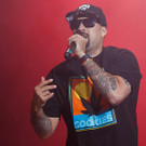 cypress hill - Nova Rock 2016 - florian wieser - 003.jpg