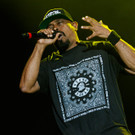 cypress hill - Nova Rock 2016 - florian wieser - 012.jpg