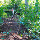 KOE_Wildpark Baubeginn Waschbaerengehege 8.jpg