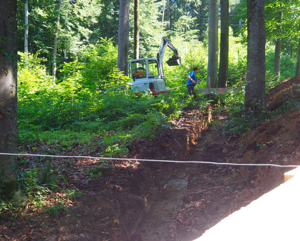 KOE_Wildpark Baubeginn Waschbaerengehege 9.jpg