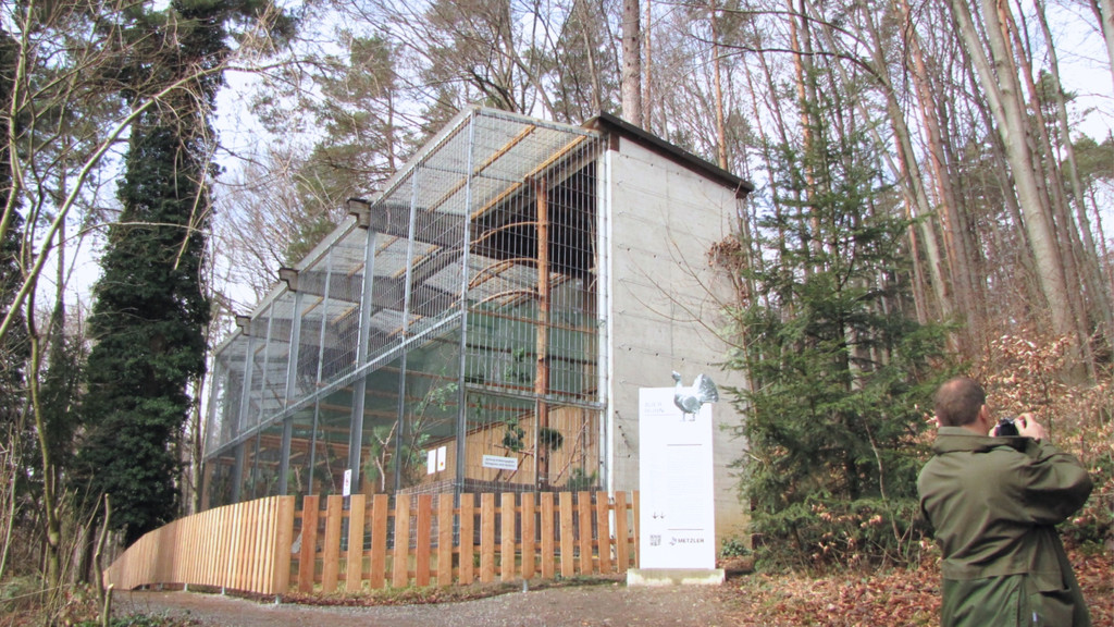 KOE_Wildpark Baubeginn Waschbaerengehege 10.jpg