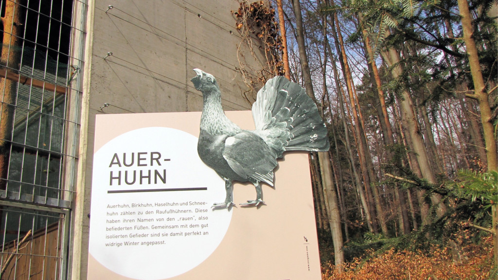 KOE_Wildpark Baubeginn Waschbaerengehege 11.jpg