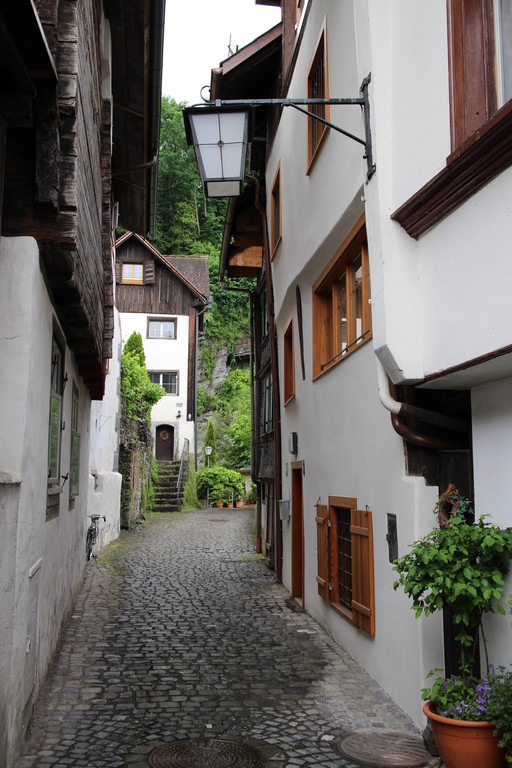 KOE_Naturwanderung Margarethenkapf 6.jpg