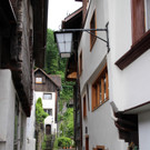 KOE_Naturwanderung Margarethenkapf 6.jpg