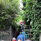 KOE_Naturwanderung Margarethenkapf 7.jpg