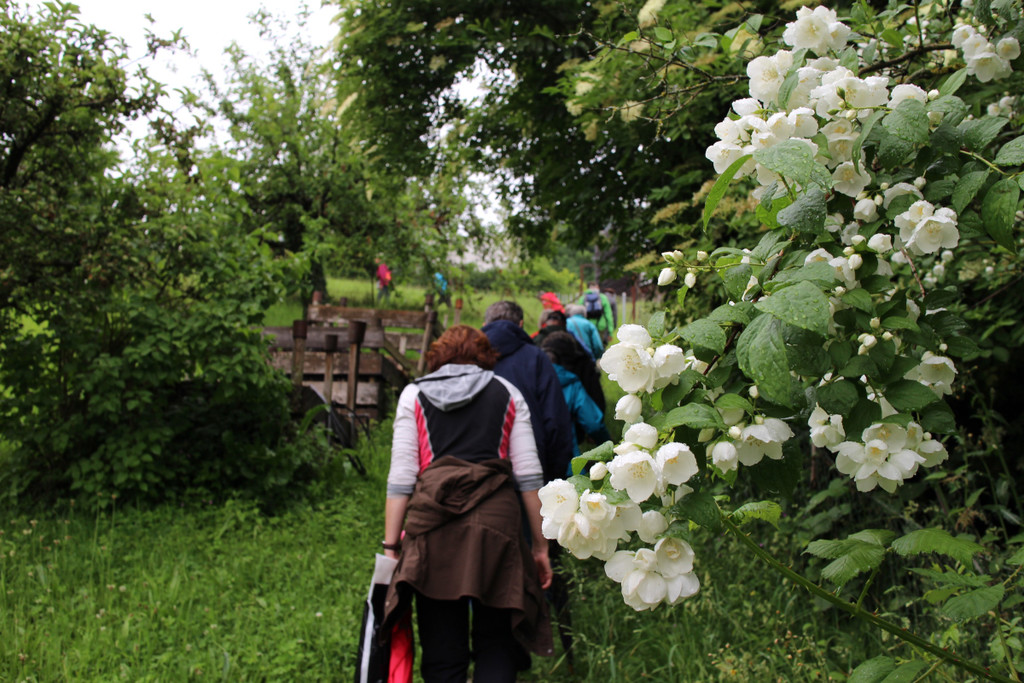 KOE_Naturwanderung Margarethenkapf 8.jpg