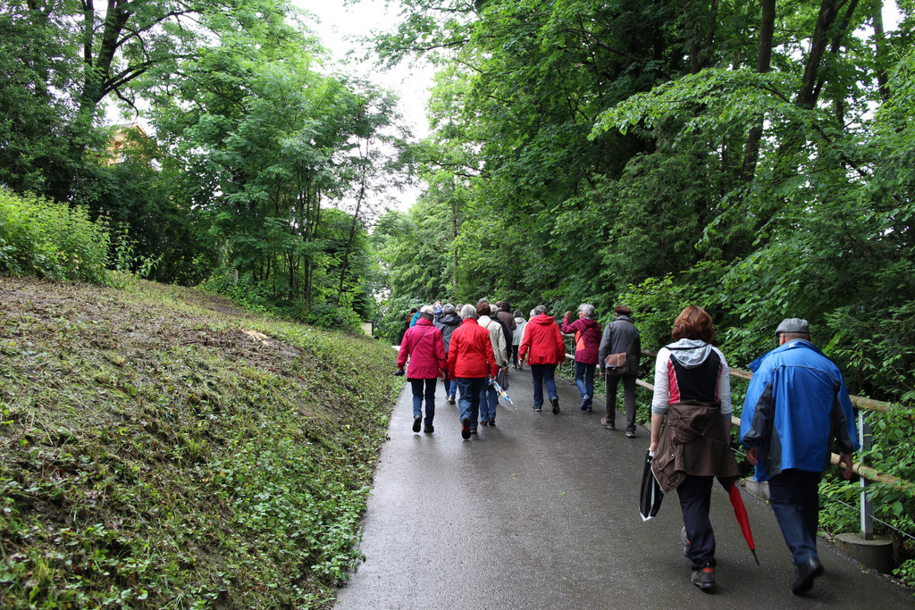 KOE_Naturwanderung Margarethenkapf 11.jpg