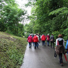 KOE_Naturwanderung Margarethenkapf 11.jpg