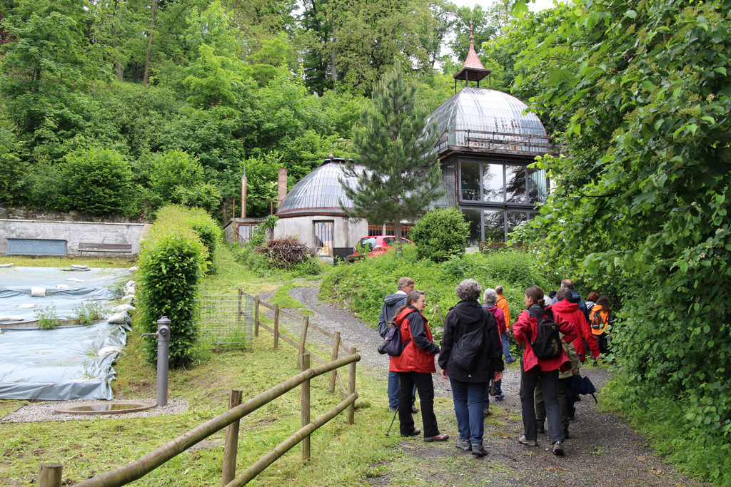 KOE_Naturwanderung Margarethenkapf 12.jpg