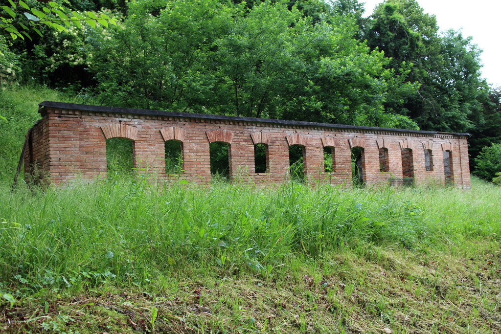 KOE_Naturwanderung Margarethenkapf 15.jpg