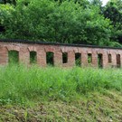 KOE_Naturwanderung Margarethenkapf 15.jpg