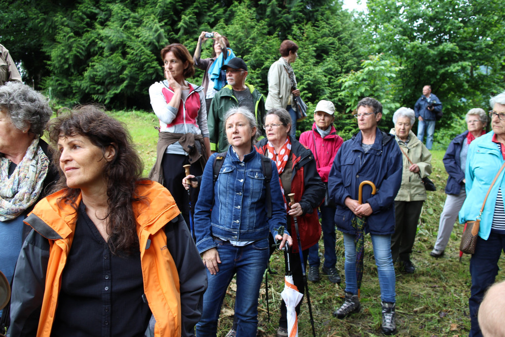 KOE_Naturwanderung Margarethenkapf 16.jpg