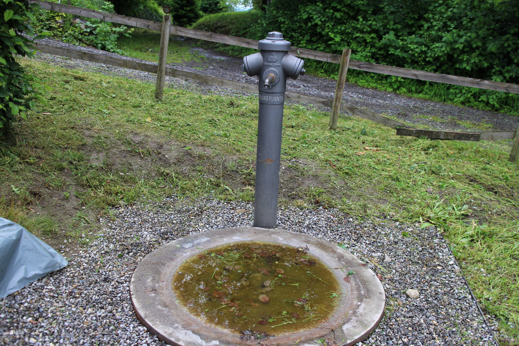 KOE_Naturwanderung Margarethenkapf 17.jpg