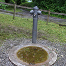 KOE_Naturwanderung Margarethenkapf 17.jpg