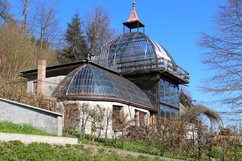 KOE_Naturwanderung Margarethenkapf 24.jpg