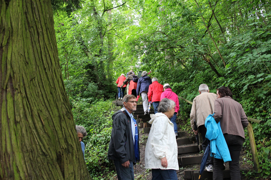 KOE_Naturwanderung Margarethenkapf 26.jpg