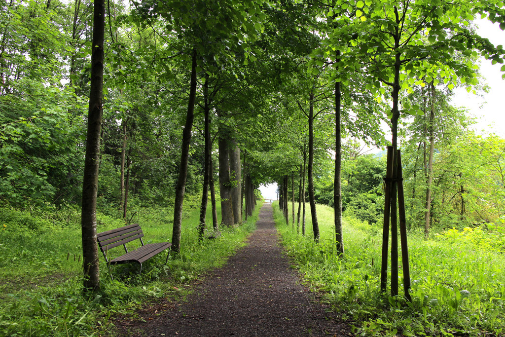 KOE_Naturwanderung Margarethenkapf 30.jpg