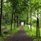 KOE_Naturwanderung Margarethenkapf 30.jpg