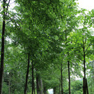 KOE_Naturwanderung Margarethenkapf 31.jpg