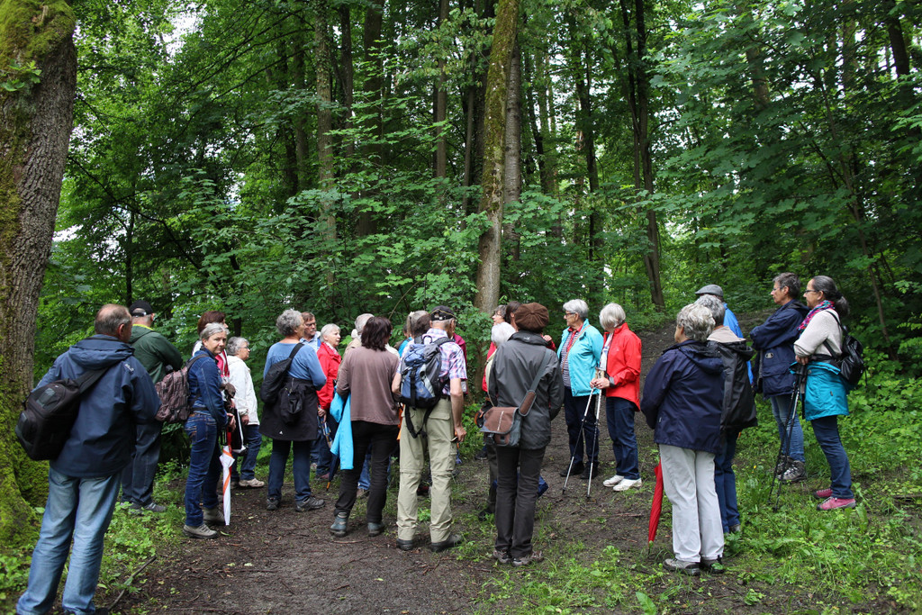 KOE_Naturwanderung Margarethenkapf 32.jpg
