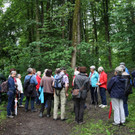 KOE_Naturwanderung Margarethenkapf 32.jpg