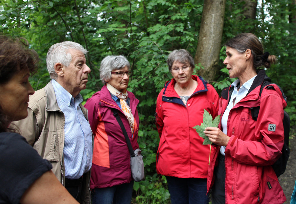 KOE_Naturwanderung Margarethenkapf 33.jpg