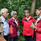 KOE_Naturwanderung Margarethenkapf 33.jpg