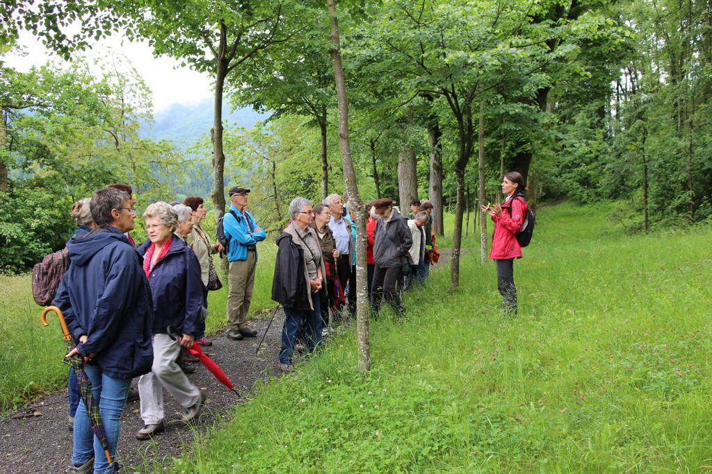 KOE_Naturwanderung Margarethenkapf 34.jpg