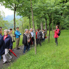 KOE_Naturwanderung Margarethenkapf 34.jpg