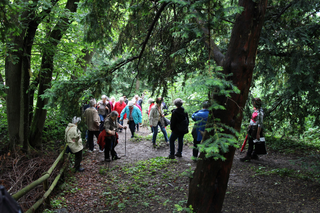 KOE_Naturwanderung Margarethenkapf 35.jpg