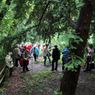 KOE_Naturwanderung Margarethenkapf 35.jpg