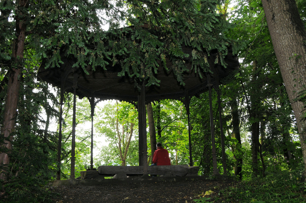 KOE_Naturwanderung Margarethenkapf 37.jpg
