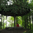 KOE_Naturwanderung Margarethenkapf 37.jpg