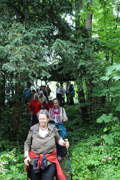 KOE_Naturwanderung Margarethenkapf 42.jpg