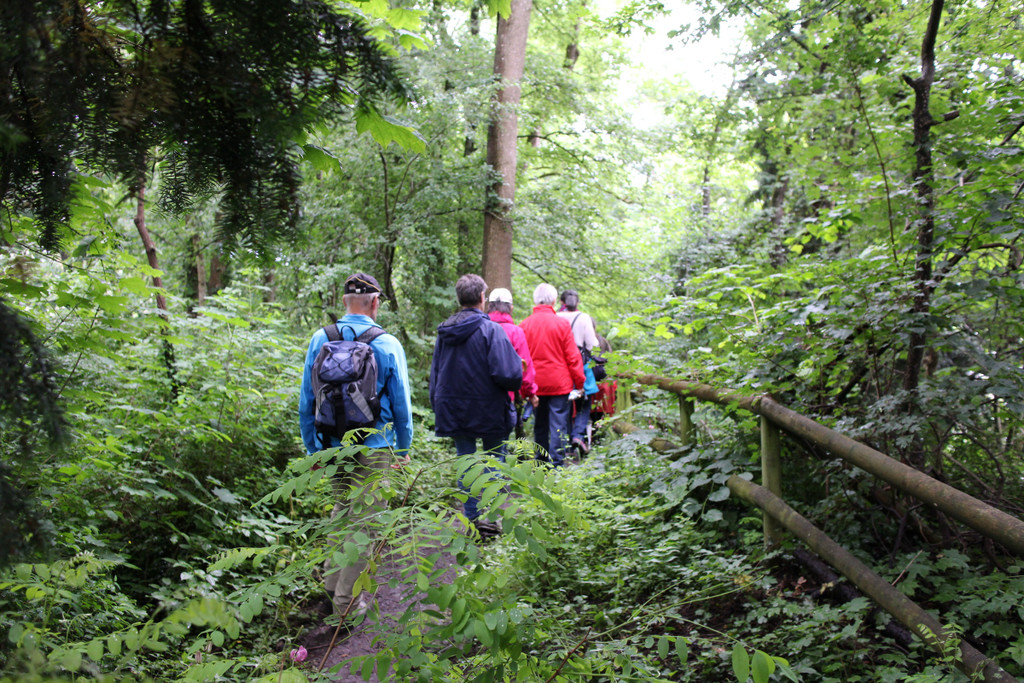 KOE_Naturwanderung Margarethenkapf 43.jpg