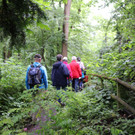 KOE_Naturwanderung Margarethenkapf 43.jpg