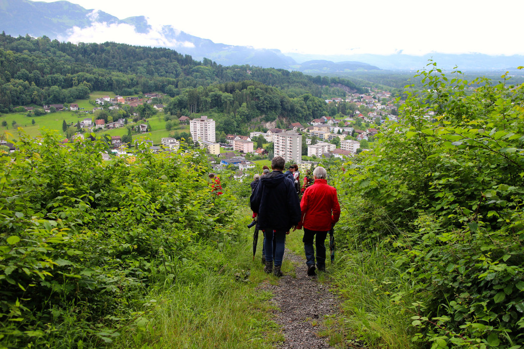 KOE_Naturwanderung Margarethenkapf 44.jpg