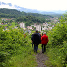 KOE_Naturwanderung Margarethenkapf 44.jpg